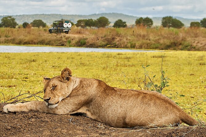 2 Days Private Safari Tour of Mikumi - Good To Know