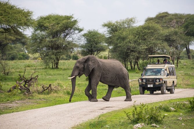 2 Days Ruaha National Park - Good To Know