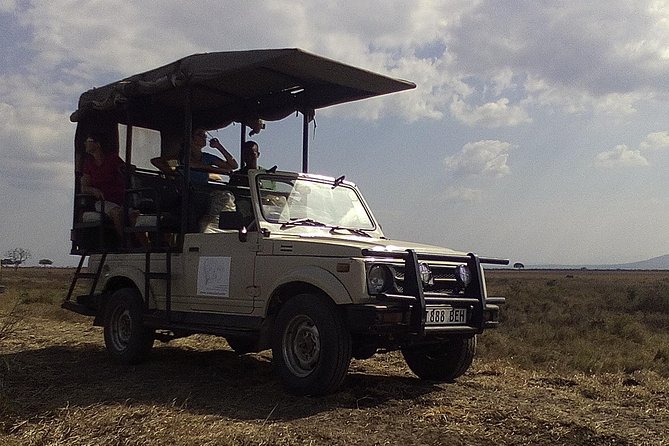 2 Days Safari to Mikumi National Park - Good To Know
