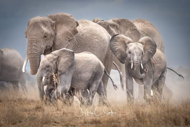 2 Days Safari Tsavo East - Good To Know