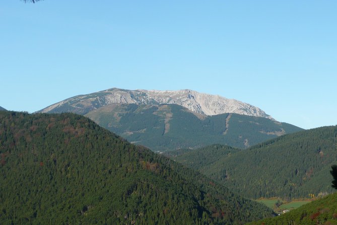 2 Hour Private Alpine Hiking, Gosing Mountain Vienna Tour - Good To Know