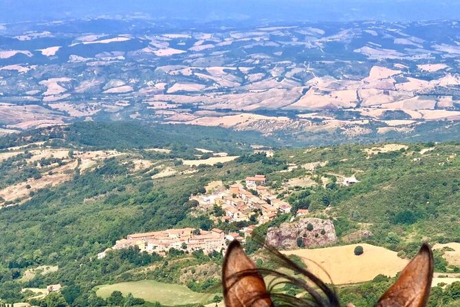 2-Hour Private Horse Riding With Views in Tuscany - Good To Know