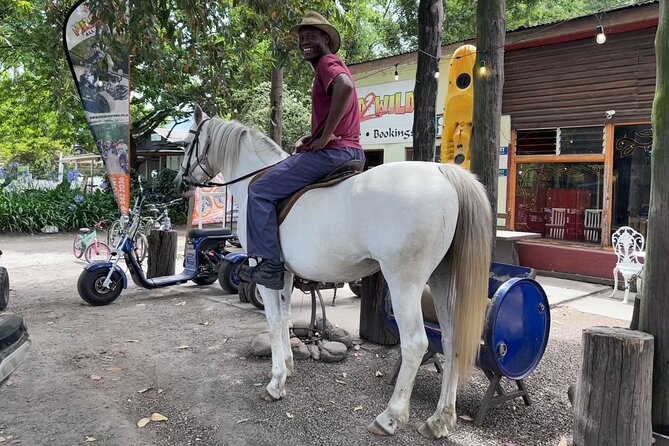 2 Hour Storms River Horse Trails Activity - Good To Know