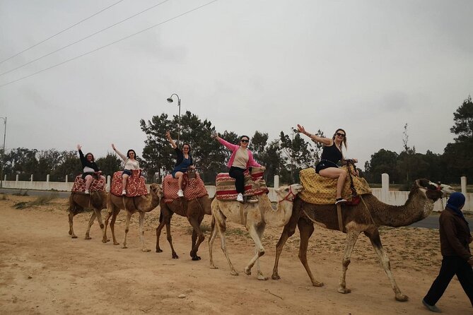 2 Hours Agadir Camel Riding Tour - Good To Know