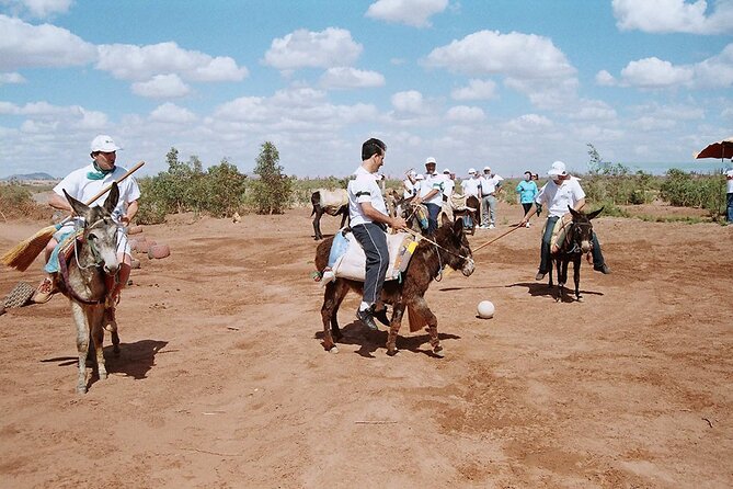2 Hours of Donkey Polo in Marrakech - Good To Know