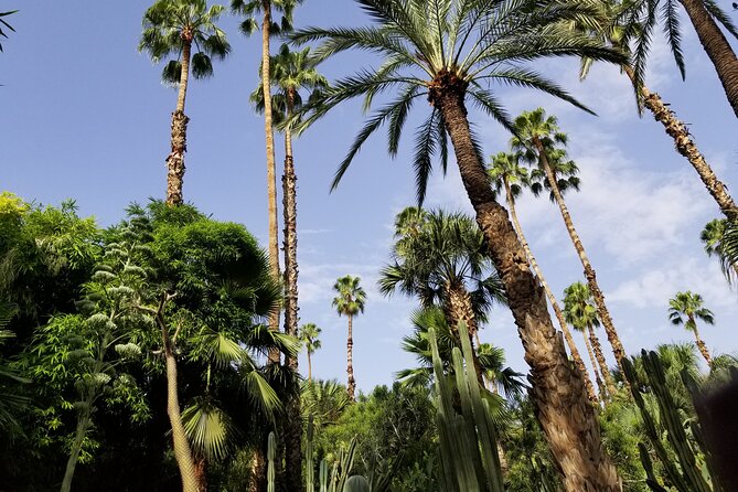2 Hours QUAD BIKING in the Palm Oasis (Palmerie) MARRAKECH - Activity Details
