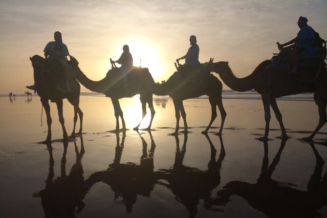 1/2 Day Camel Trekking in Essaouira With Meals - Booking and Cancellation Policy
