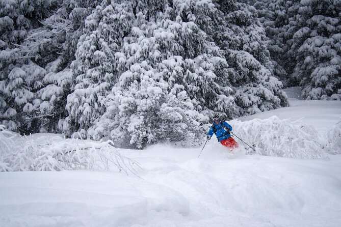 1-day Backcountry Tour - Inclusions