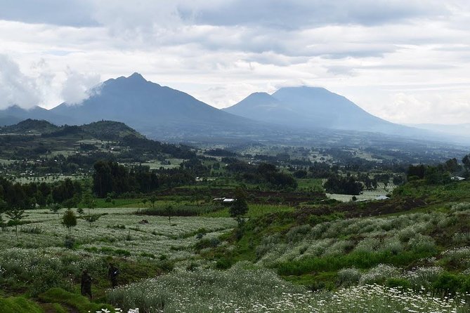 1 Day Dian Fossey Tomb Hike - Additional Information