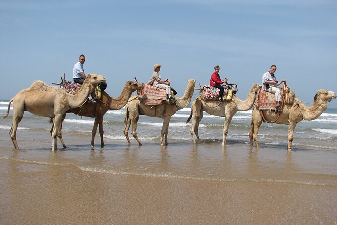 1 Day Dromedary Ride Near Essaouira - Itinerary Highlights