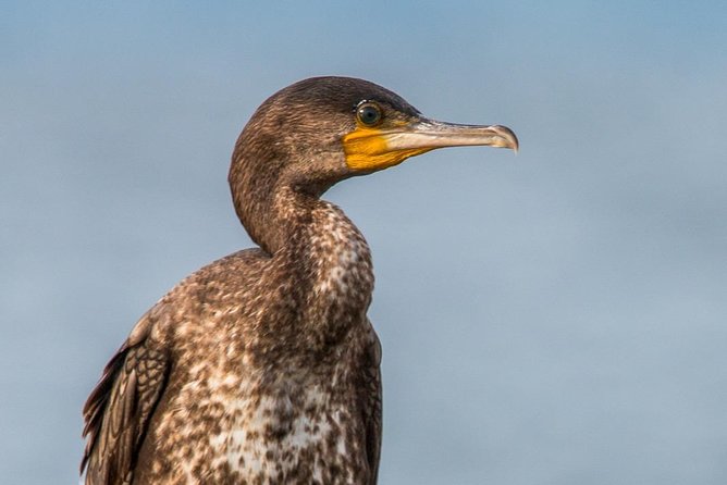 1 Day Fishing and Chimpanzee Island Tour - Frequently Asked Questions