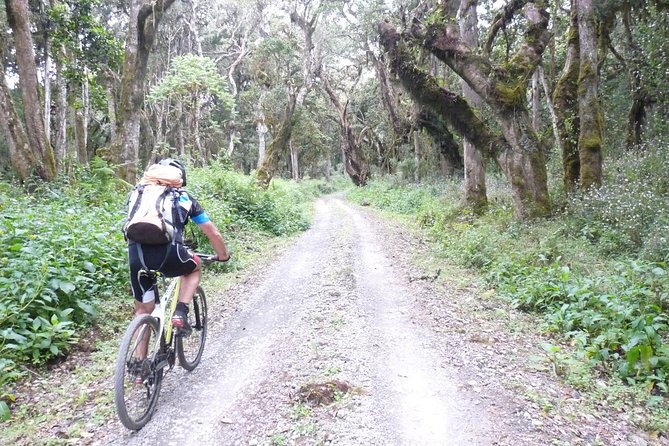 1 Day Kilimanjaro Cycle Shira Route - Biking Experience