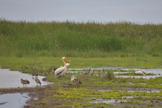 1 Day Lake Manyara Day Trip - Location