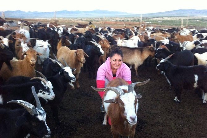 1 Day Semi-Gobi Tour Including Lunch And Free Camel or Horseback Ride