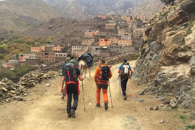 1 Day Trip to Berber Villages & Toubkal Valley in Atlas Mountains - Trip Overview