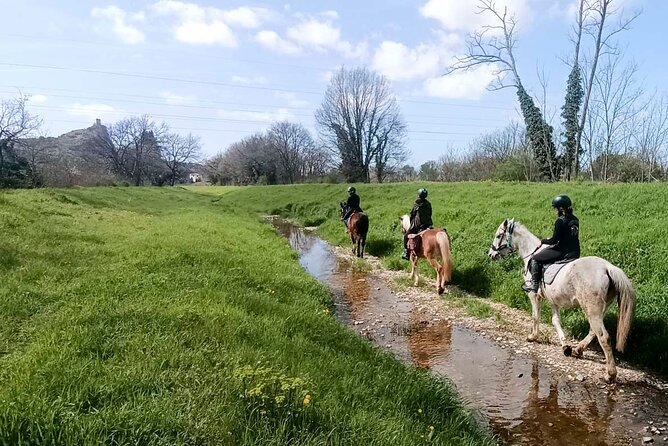 1 Hour Horseback Ride in Valgraziosa Pisa - Safety Precautions
