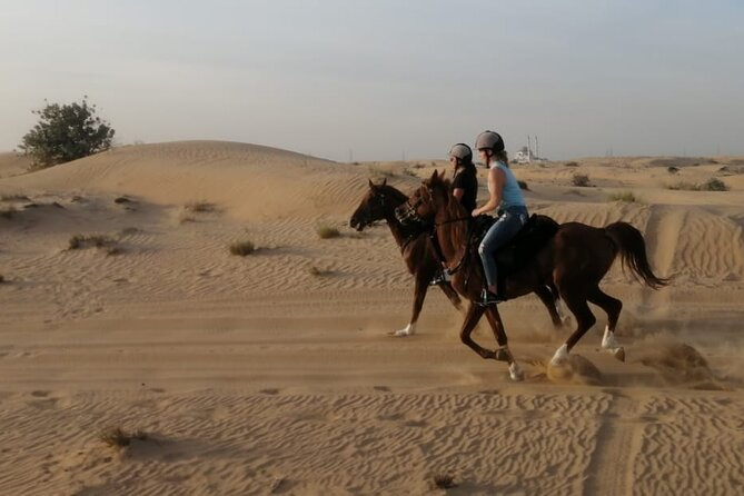 1 Hour Shared Desert Horse Riding Experience - Transportation Options