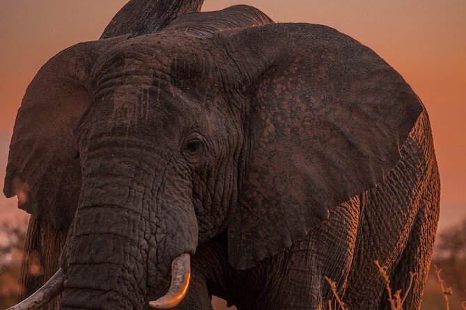 10 Day Private Celebrity Tanzania Safari Experience