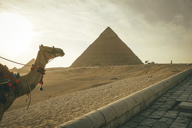 10 Days All Inclusive Explore Egypt From The Nile To The See In - Accommodation Options