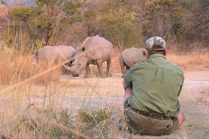11-Day African Big 5 With Gorilla Trekking Safari in Uganda. - Itinerary Overview