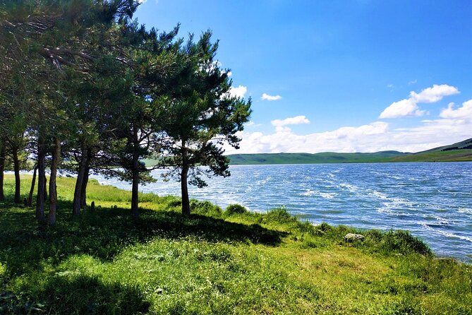 11 Days/10 Nights National Parks Tour Package in Georgia - Transportation Details