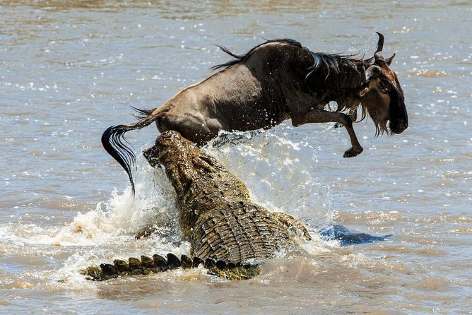 13 Days Kenya Wildlife Safari Trail on 4xx4 Land Cruiser Jeep - Tour Itinerary