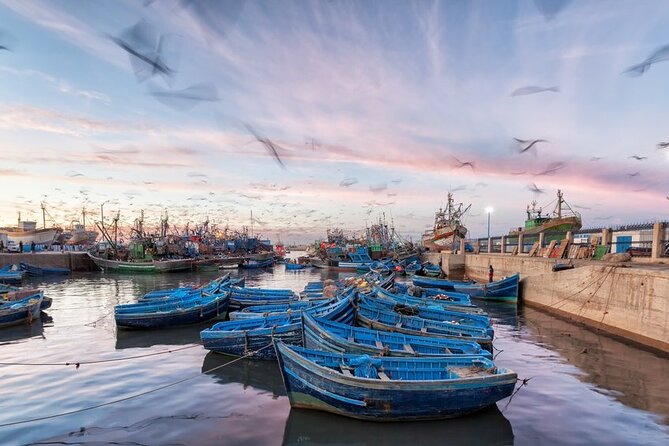 13 Days Tour of Atlantic Coast, Imperial Cities, & Sahara Desert - Itinerary Highlights