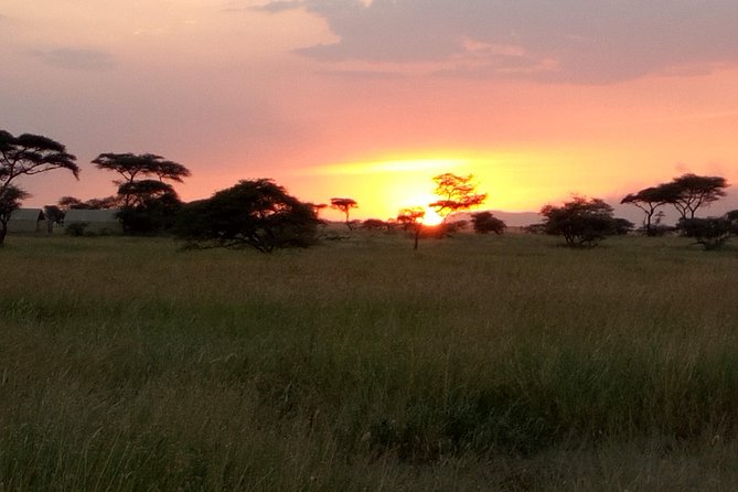 13 Days Ultimate Luxury Safari Tour Tanzania - Booking and Cancellation Policy