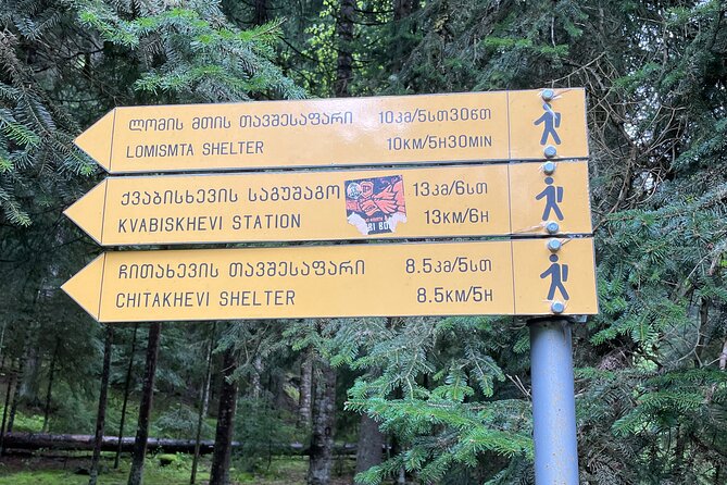 13 Km Hike in Borjomi - Group Tour From Kutaisi - Start Time
