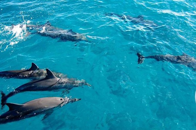 14-Days Maasai Mara, Serengeti and Zanzibar Tour From Nairobi - Tour Itinerary