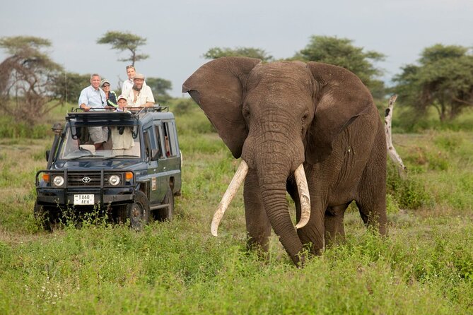 14 Days Uganda Rwanda Primate Tour - Inclusions and Exclusions