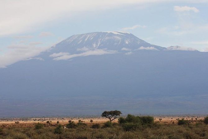 2- Day Diani to Amboseli Flying Safari