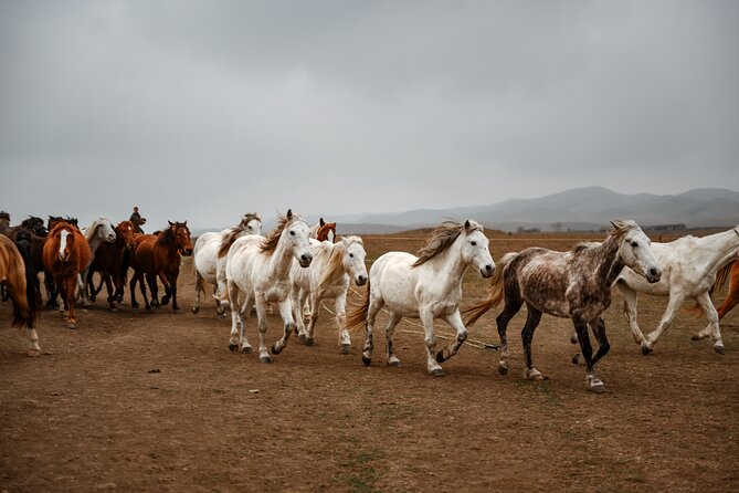 2-Day Horse Riding Tour in Vashlovani National Park - What to Pack