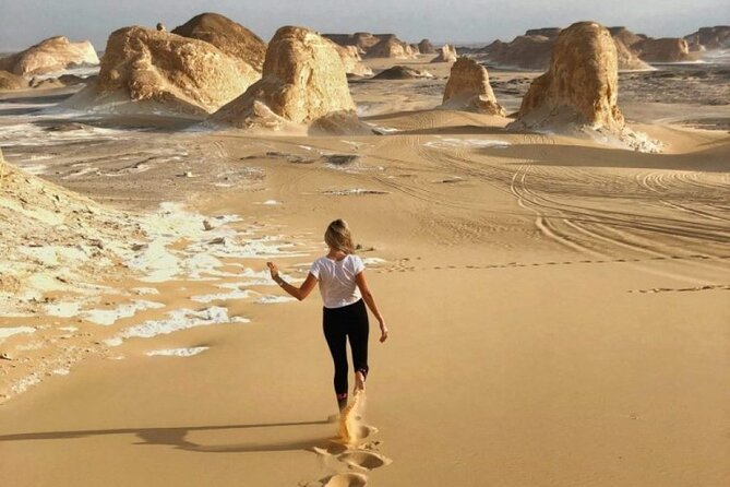 2-Day Private Bahariya Oasis Tour From Cairo and Giza Hotels - Highlights