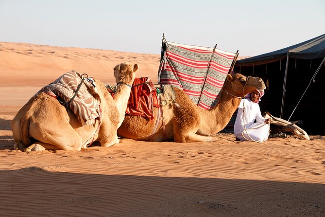 2 Day Private Desert Camp With Camel Ride