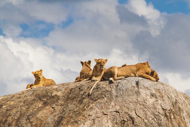2-Day Private Guided Tour to Tarangire and Ngorongoro - Inclusions and Exclusions