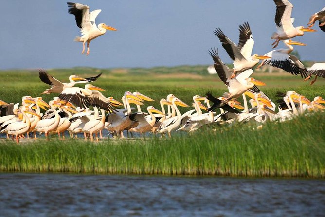 2-Day Private Tour of Danube Delta From Bucharest - Meeting and Pickup