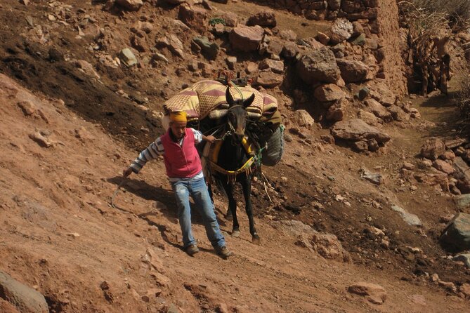 2 Day Private Trekking at Berber Villages in Atlas Mountains - Itinerary Highlights