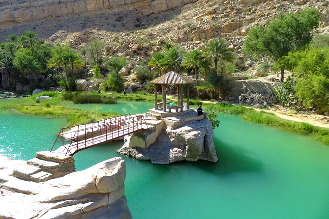 2 Day Private Trip to Two Oasis With Overnight Desert Camping - Whats Included