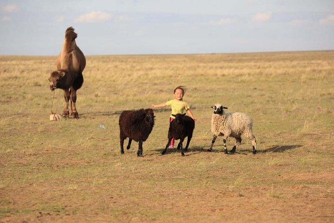 2 Day Semi-Gobi Tour With Nomads and Free Camel Ride