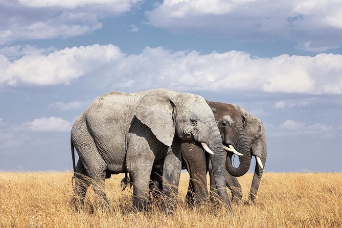 2 Day Tanzania Tour - Itinerary Details