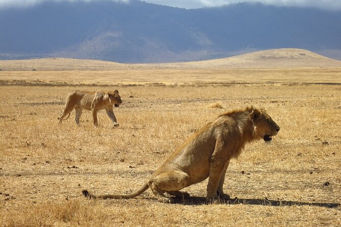 2-Day Tour Safari Tarangire Ngorongoro Crater and Maasai Village - Itinerary Details