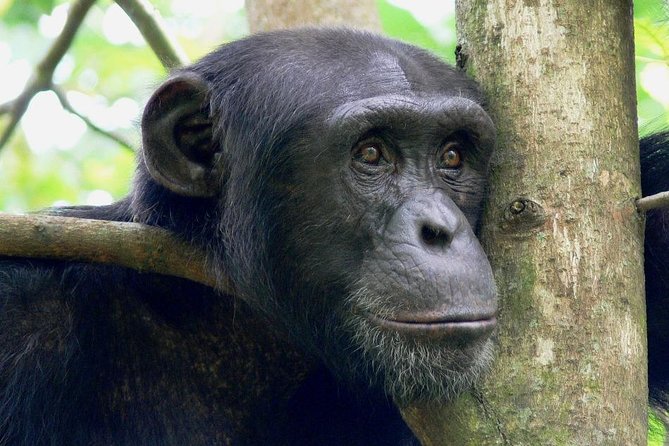 2-Day Tsavo East NP Joining Safari - Inclusions and Exclusions