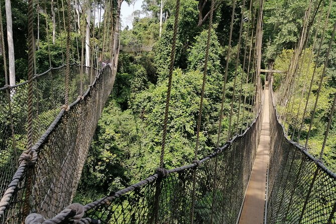2 Days (1 Night) Cape Coast and Elmina Private Tour - Tour Highlights