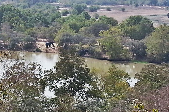 2 Days (1 Night) Elephants Safari at Mole Park With Round - Trip Flights - Accommodation Details