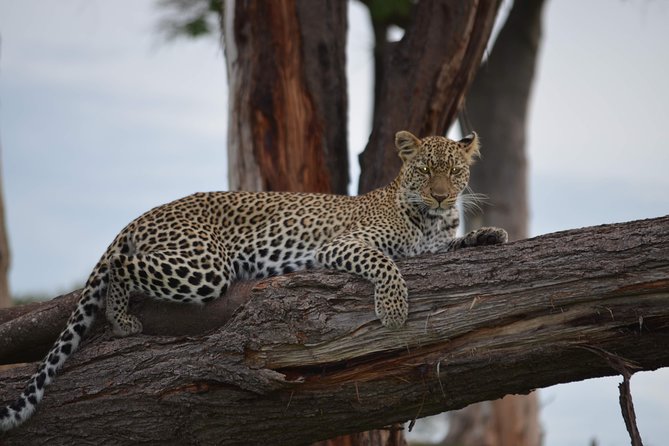2 Days 1 Night Mikumi National Park From Dar Es Salaam - Inclusions Provided
