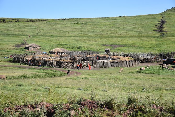 2 Days / 1 Night Tanzania Safari Tour - Safari Experience