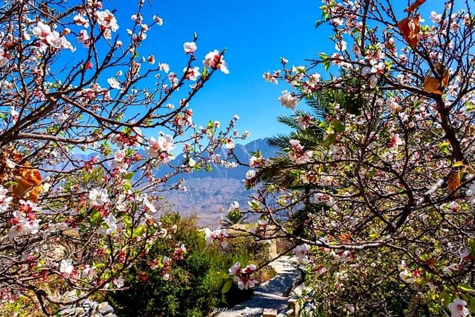 2 Days 1 Nights Private Trip to Wakan - Trip Overview