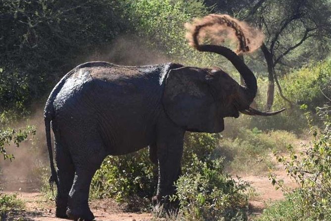 2 Days Africa Safari - Pricing and Booking Options