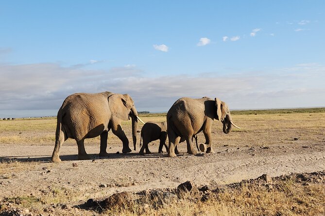 2 Days Amboseli Park Overnight Private Safari - Pickup Logistics